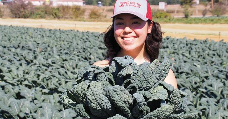 Kale Salad with Beets, Farro & Delicata Squash