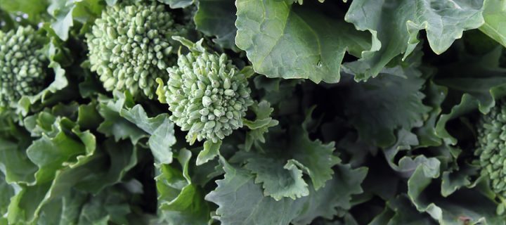 Sautéed Broccolini
