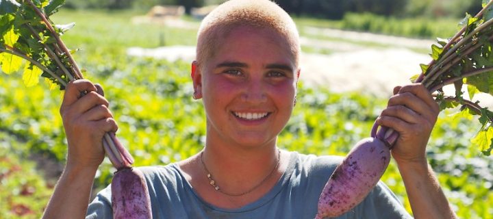 Gourds for the Birds