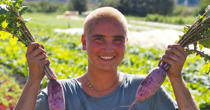 Gourds for the Birds