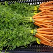 Honey & Herb Roasted Carrots