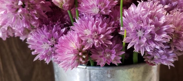 Chive Flower Compound Butter