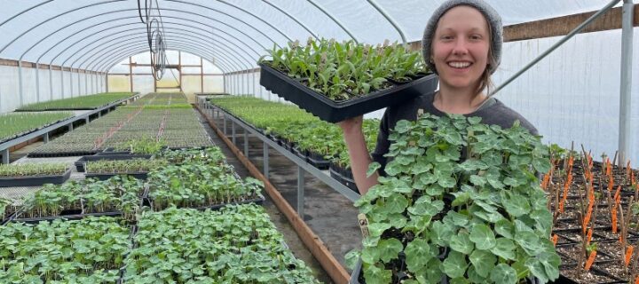 From Seed to Salad