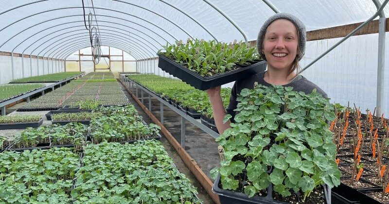 From Seed to Salad