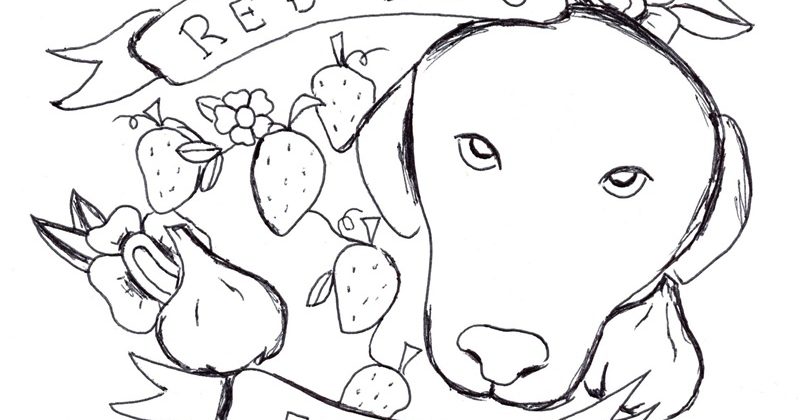 An Ode to Farm Dog Angus