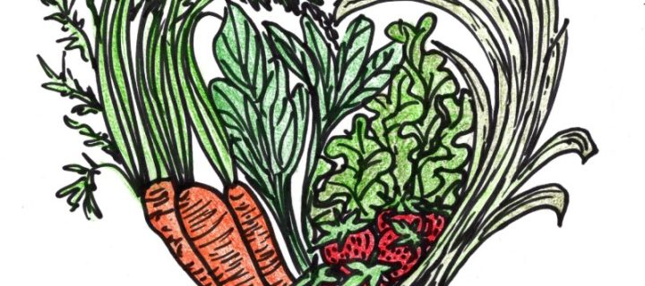 What’s in my CSA?