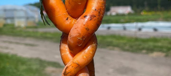 Essential Workers in a Healthy Landscape