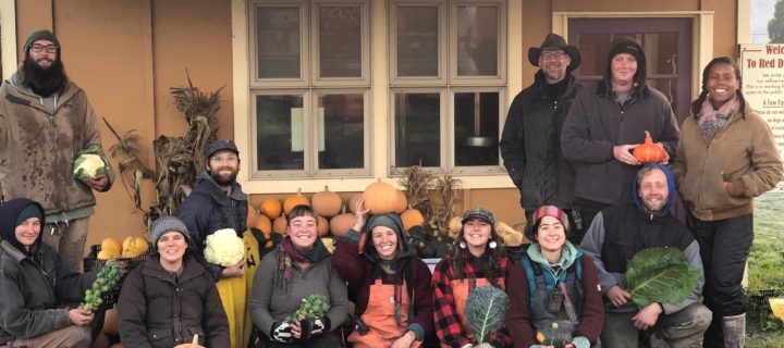 CSA Newsletter 11/21/18- Giving Thanks