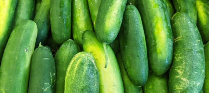 Cucumber, Tomato & Basil Salad