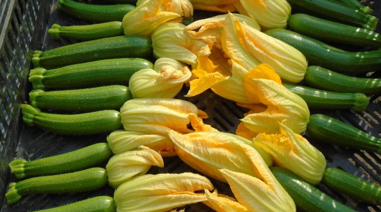 Zucchini-Corn Fritters