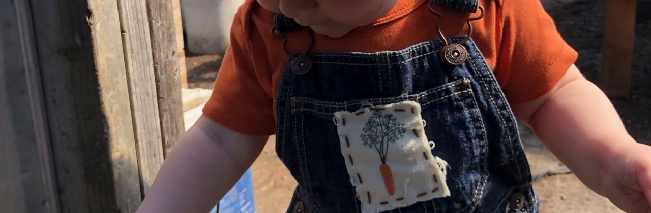 Farming: A Toddler’s Perspective