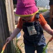 Farming: A Toddler’s Perspective