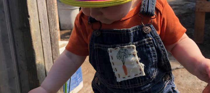 Farming: A Toddler’s Perspective