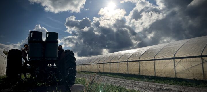 Hauntings in the Fields