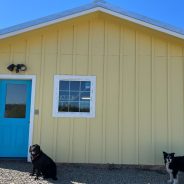 Abundance at the Farmers Market