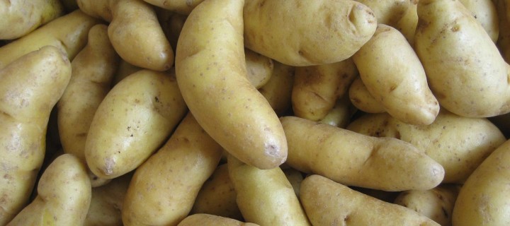 Herb-Roasted Fingerling Potatoes