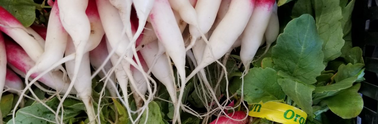 Ideas for Eating French Breakfast Radishes