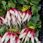 Ideas for Eating French Breakfast Radishes