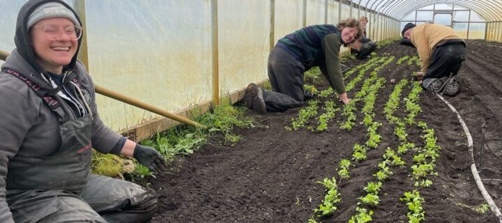 Poems Grown in the Fields