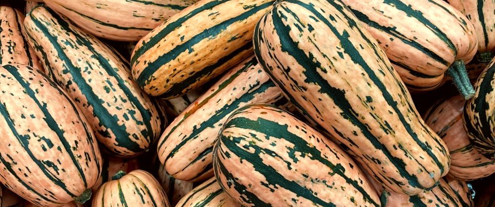 Stuffed Delicata Boats