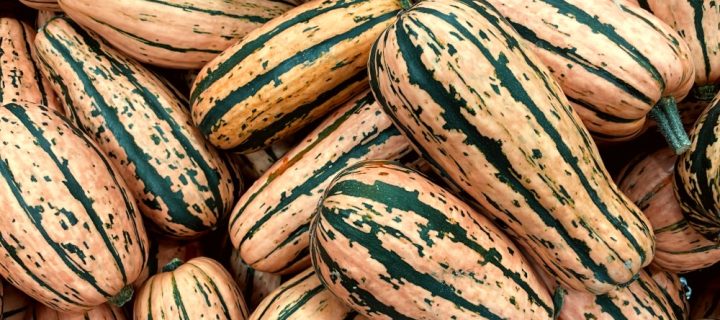 Stuffed Delicata Boats