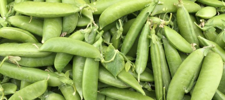 Snap Pea Stir Fry