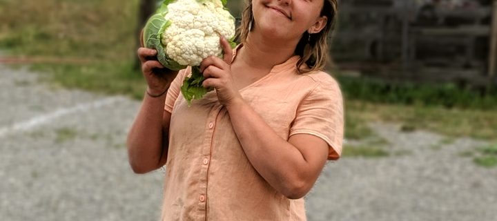 Veggies and Conversation Flow from the Fields