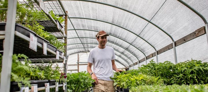 Gadgets in the Greenhouse