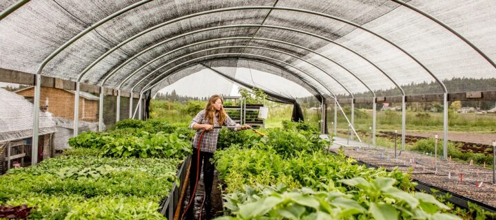 Planting an Ecosystem