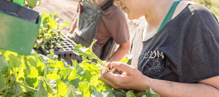 A Legacy of Farm Work