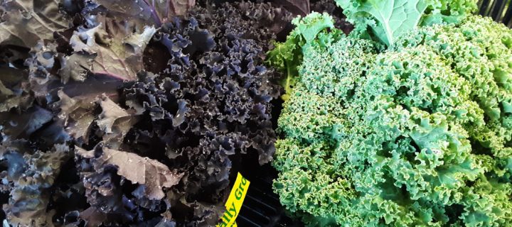 Colorful Carrot and Kale Salad