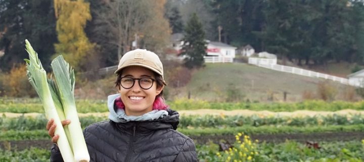 Winter Market Bounty