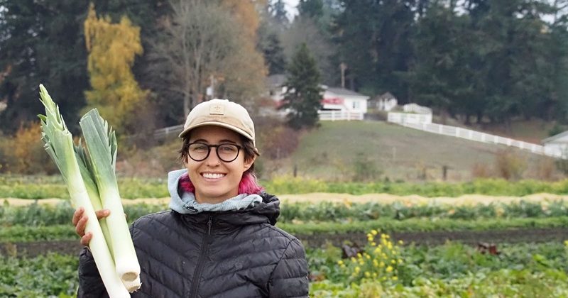 Winter Market Bounty