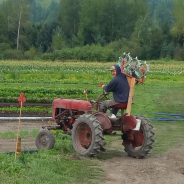 Walking Old Fields, Plowing New Fields