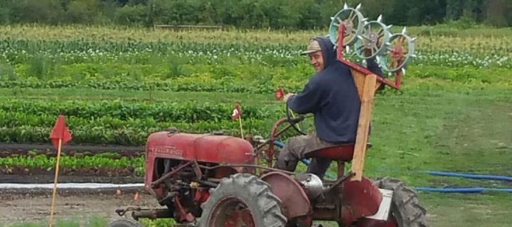 Walking Old Fields, Plowing New Fields