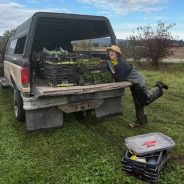 Pumped for Pumpkin Season!