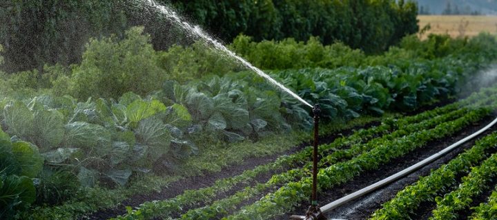 Watering the Whole Farm