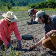 Becoming a Farmer