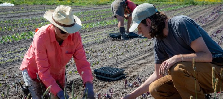 Becoming a Farmer