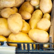Slow-Cooker Beef Stew