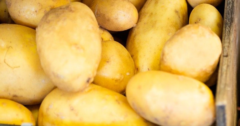 Slow-Cooker Beef Stew