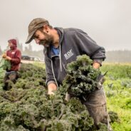 Harvesting the Fruits of Our Labor