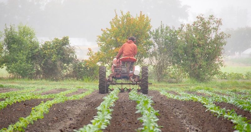 Melon-Time Reflections