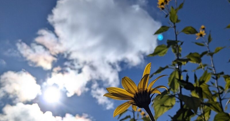 Welcoming the Wind: Appreciating Fall on the Farm