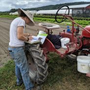 Farmer Wisdom Through the Ages