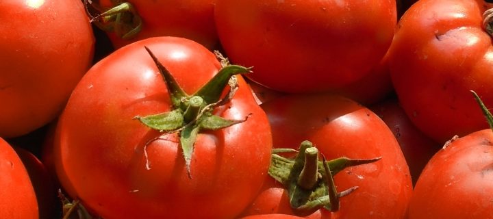Strawberry Tomato Salsa