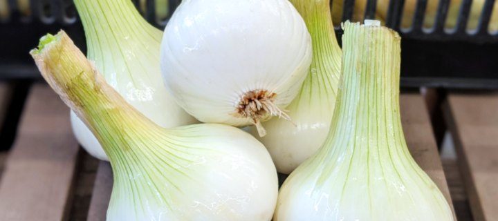 Caramelized Onion & Dill Greek Yogurt Dip