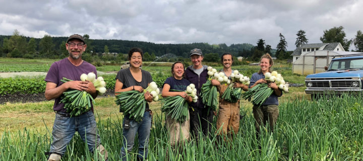 Newsletter 7/11/18 – Farm Weavers