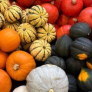The Magic of The Storage Crop