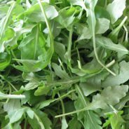 Arugula, Fennel & Orange Salad